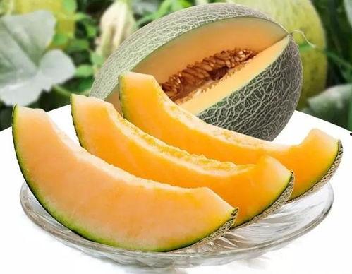 我想看吃瓜产品,一网打尽全网热门话题