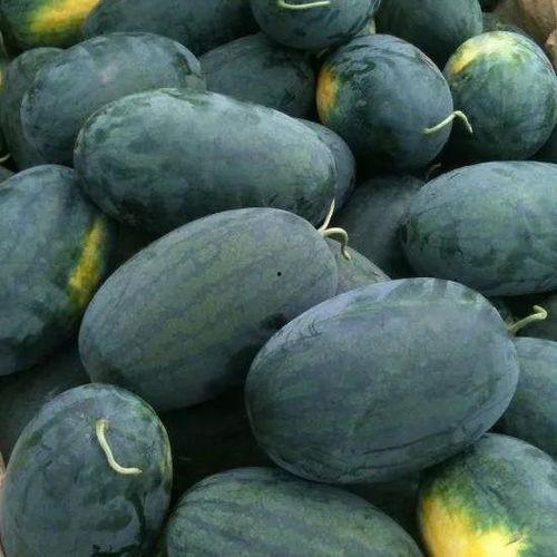 28留学圈吃瓜,揭秘留学生活中的那些“吃瓜”趣事