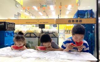 小朋友吃瓜群众,小朋友吃瓜群众的故事