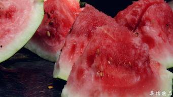 喝茶吃瓜看热闹,共赏人间百态