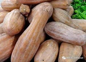 玲珑相思吃瓜,玲珑相思瓜界风云录