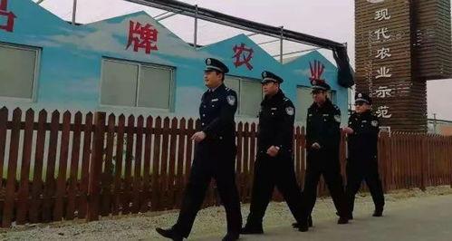 吃瓜群众张苗苗,揭秘娱乐圈幕后故事