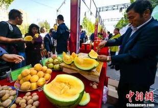 西昌吃瓜新闻最新,揭秘背后真相与网络舆论风暴