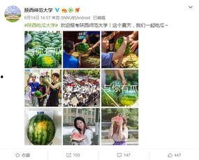 学校软件吃瓜,吃瓜神器背后的秘密与影响