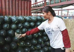 桂林每日吃瓜,每日新鲜“吃瓜”资讯速递