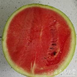感冒了吃籽瓜
