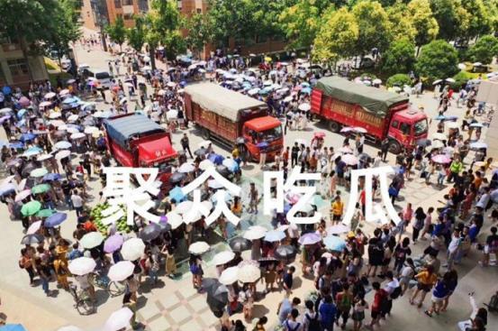 广州漫展聚众吃瓜,聚众吃瓜，共享二次元狂欢盛宴