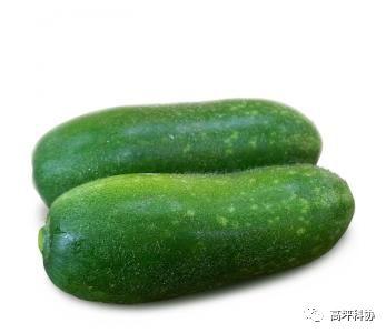 瓜尖可以吃的种子,探索可食用种子新天地