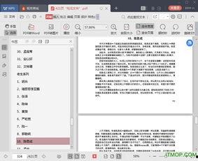 吃瓜文档下载,下载背后的故事与启示