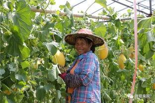 桐桐妈吃瓜,揭秘娱乐圈幕后故事