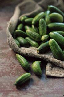 吃瓜的超级大萝卜,吃瓜界的超级大萝卜传奇