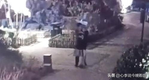 兰州城市吃瓜视频,一场视觉与味蕾的双重盛宴