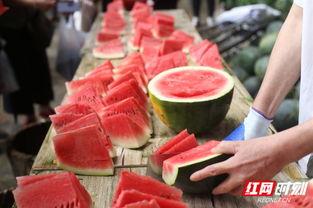 郴州吃瓜,吃瓜也能吃出地道风味