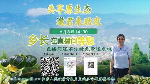 吃瓜向阳,揭秘阳光下的甜蜜瓜果生活