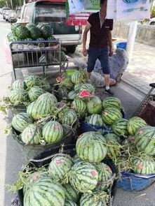 阜阳吃瓜最近事件