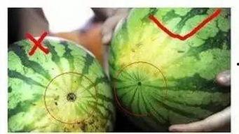 福州方舱吃瓜,见证战“疫”一线的温馨瞬间