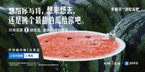 想看吃瓜文案,明星幕后故事大曝光！