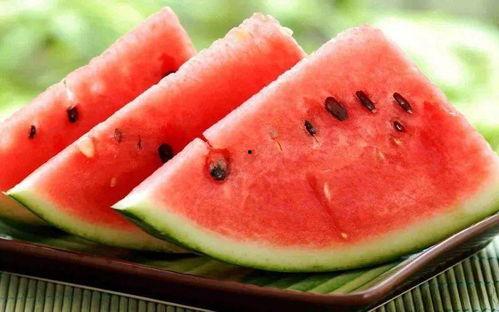 夏天吃的瓜蒲瓜,蒲瓜美食之旅