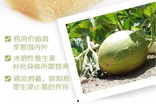 蜜瓜和什么吃最好,尽享夏日清新美味